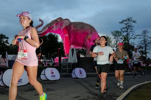 BIB: 
                            <button type="button" onclick="openModal(26529634)" class="btn btn-primary btn-sm float-right btn-popup" data-toggle="modal" data-target=".modal-high-quality">
                        <i class="fas fa-shopping-cart"></i> Add to Cart
                    </button>
                                            <button type="button" onclick="isThisMe(26529634, true)" class="btn btn-success btn-sm float-right btn-popup btn-isme hidden" data-toggle="tooltip" data-placement="bottom" title="นี่คือรูปของคุณใช่ไหม คลิกที่นี่เพื่อเอาเข้าอัลบั้ม">
                        <i class="fas fa-plus"></i> Add to album
                    </button>
                    <button type="button" onclick="isThisMe(26529634, false)" class="btn btn-warning btn-sm float-right btn-popup btn-isnotme hidden">
                        <i class="fas fa-ban"></i> Remove from album
                    </button>